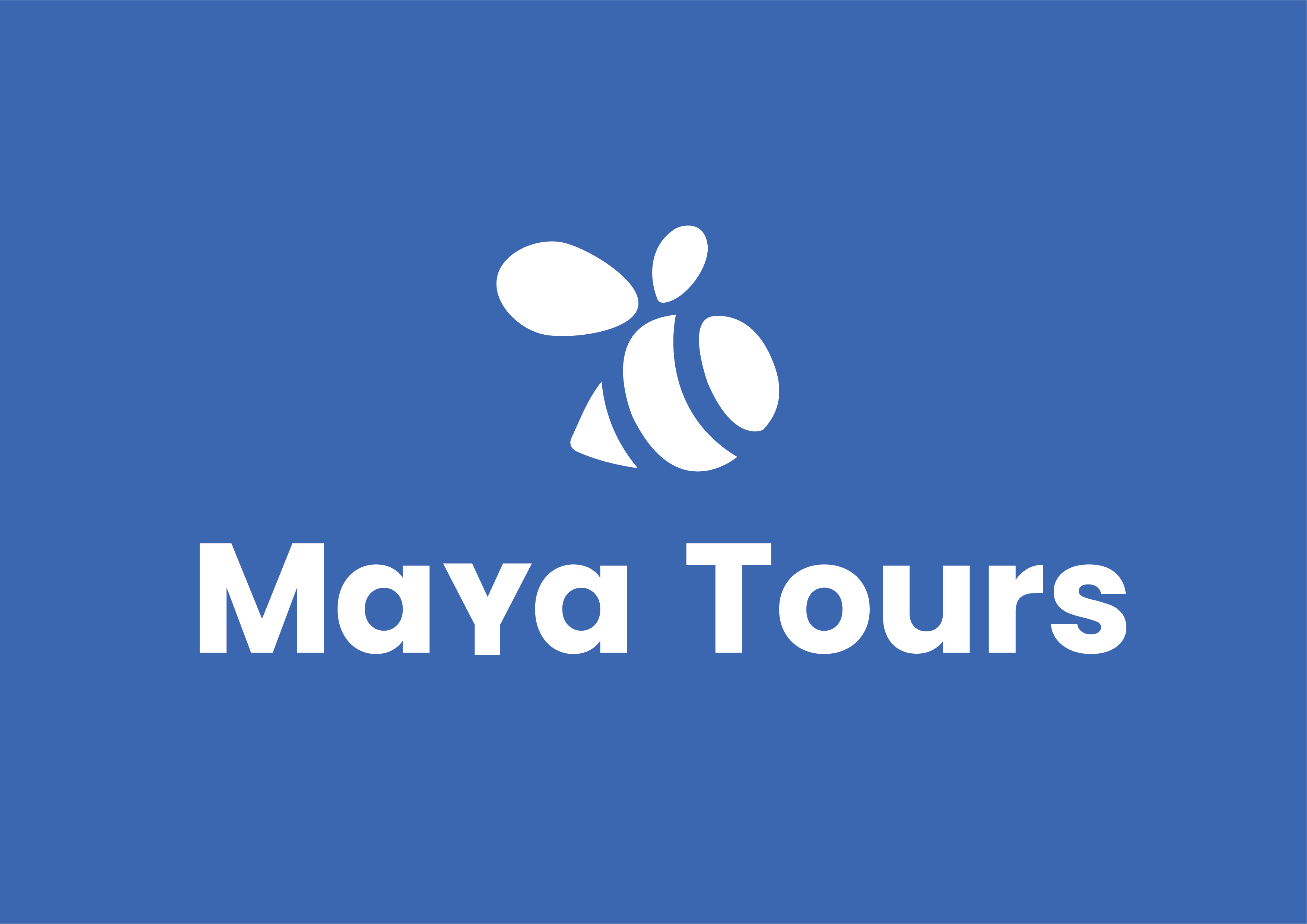 Maya Tours